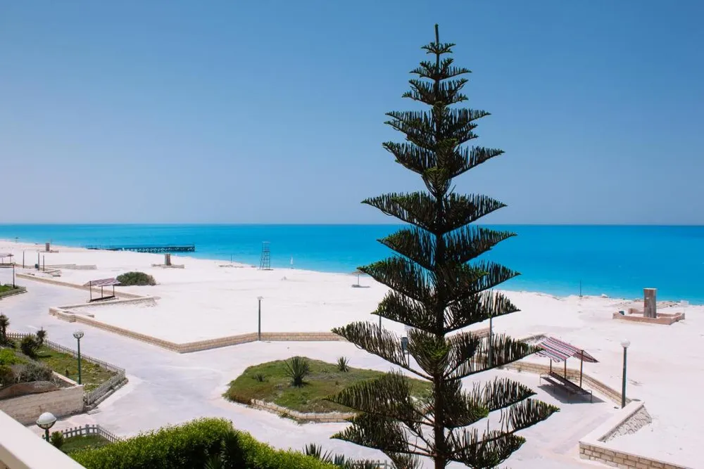 Top Properties In Green Beach North Coast Nawy Top Properties In Green Beach North Coast Nawy