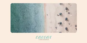 banner-image