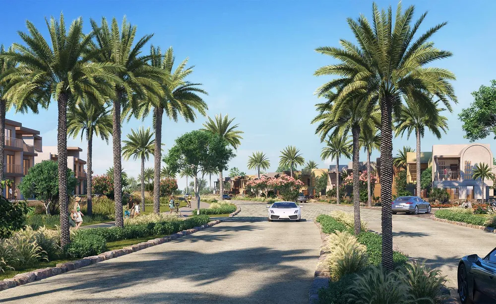 ار6-بوجينفيليا