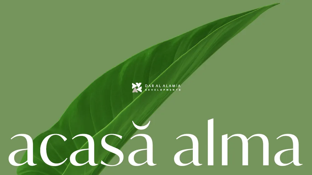 banner-image