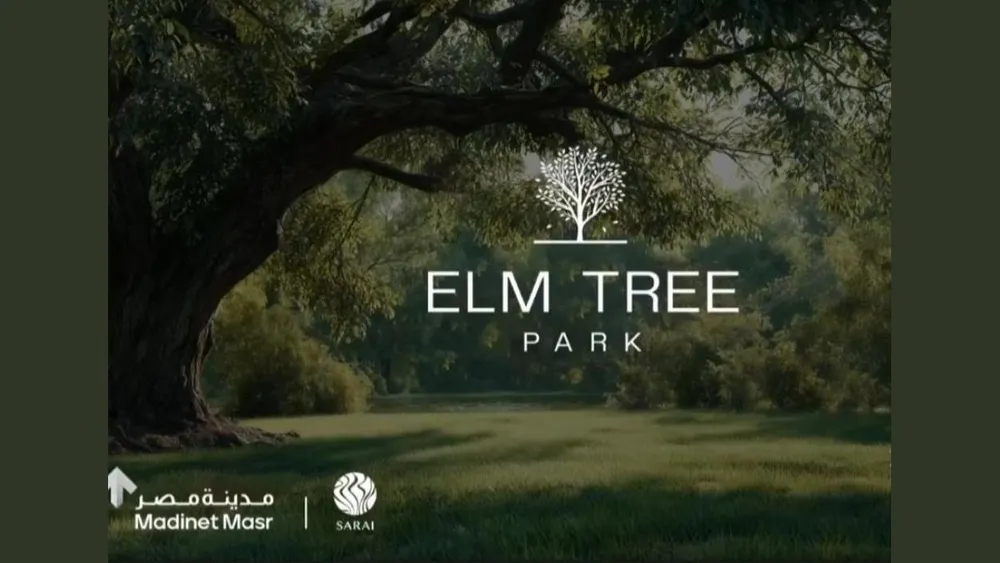 ELM Tree - Sarai Marketing Visual