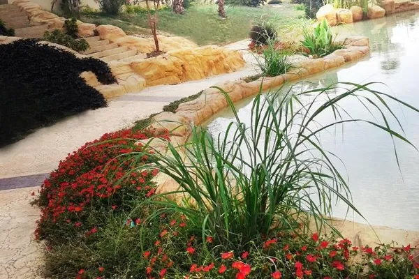 زيزينيا جاردنز القاهرة الجديدة ارديك للتطوير العقاري