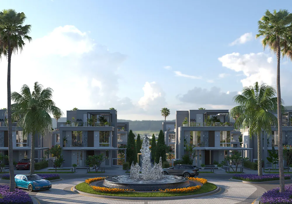 Zayard Elite New Zayed Palmier Developments 