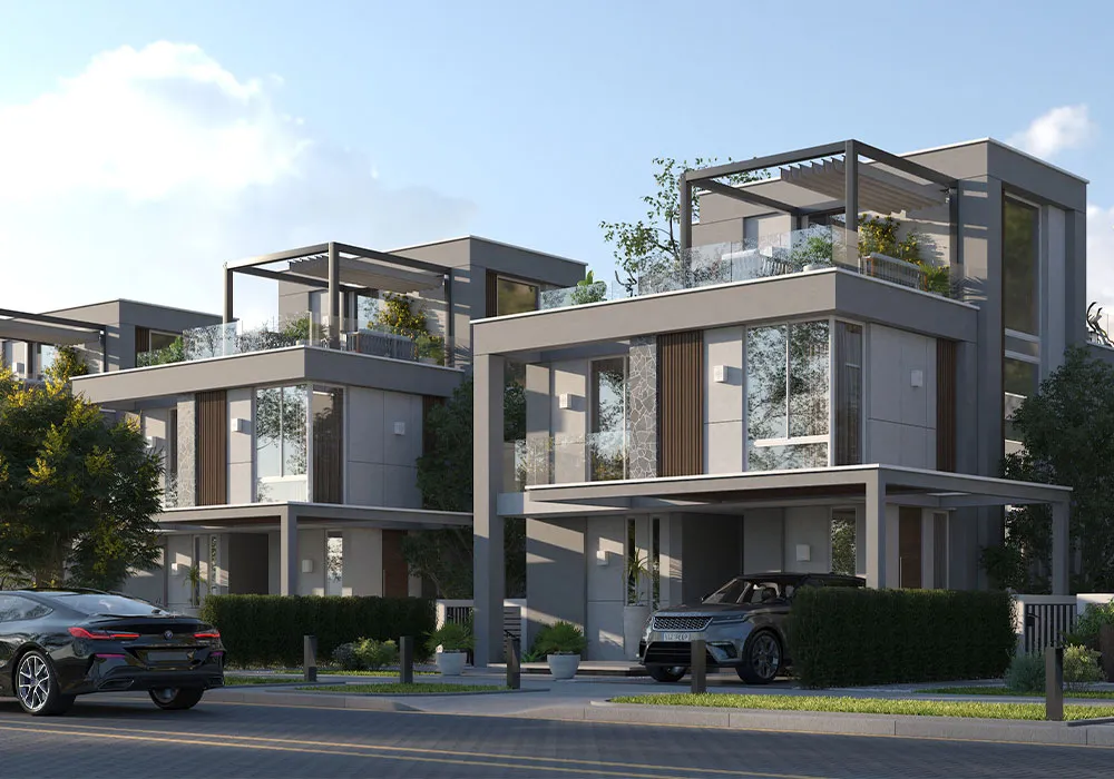 Zayard Elite New Zayed Palmier Developments 