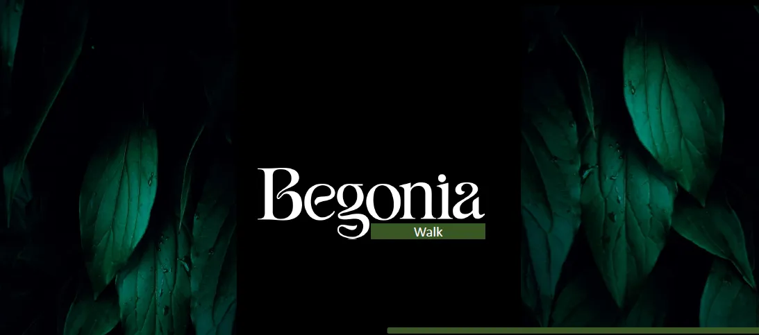 Begonia Walk South Investors Menassat Developments