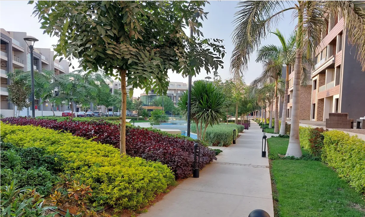 ميد تاون القاهره الجديده المستثمرين الجنوبية بيتر هوم