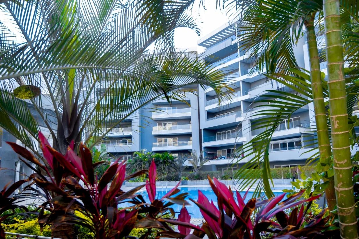 Ocean Blue Heliopolis Central Cairo Ocean Blue Group