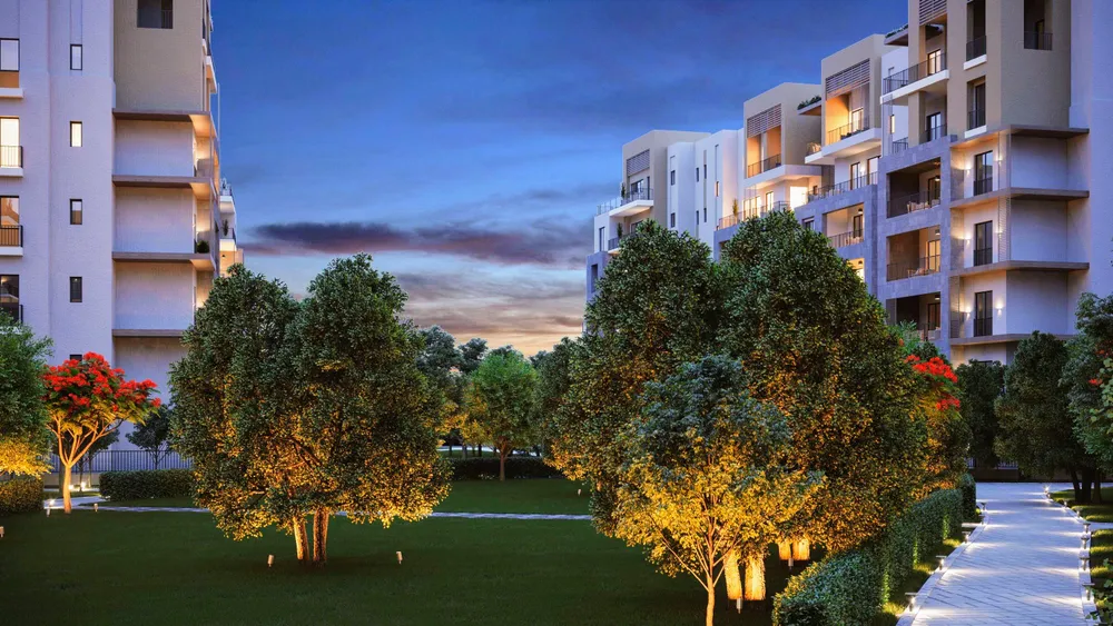 بلاتو ديستريكت 5