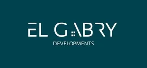 developer logo
