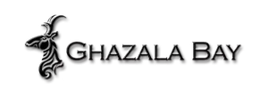 developer logo