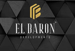 developer logo
