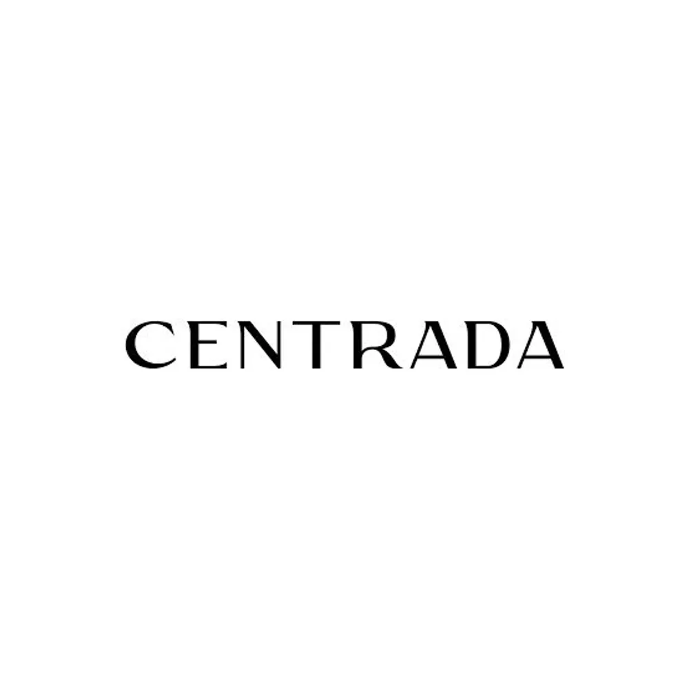 developer logo