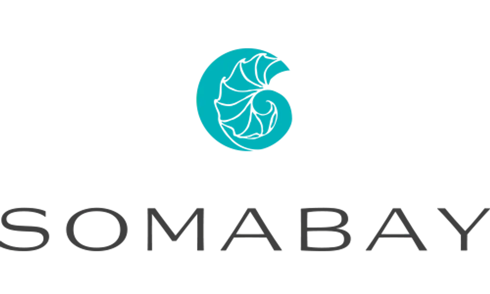 Abu Soma Development