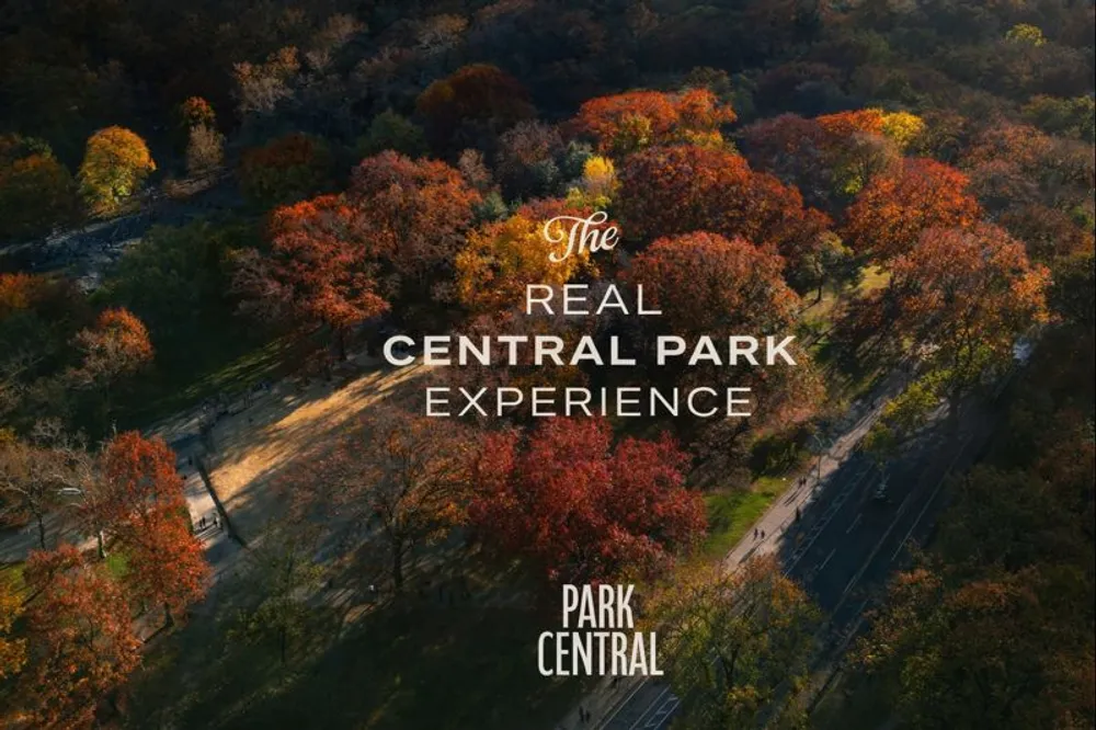 Park Central image