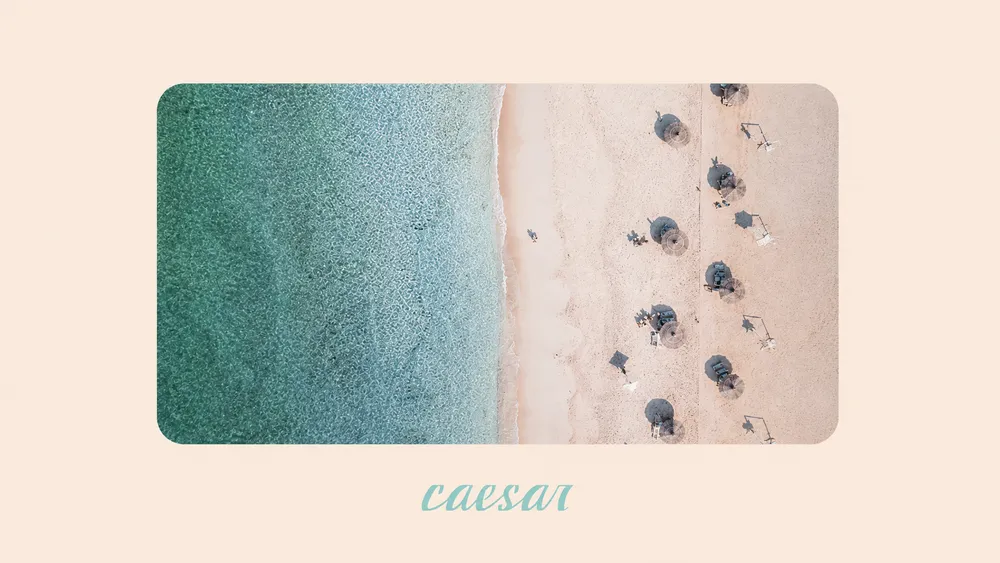 banner-image