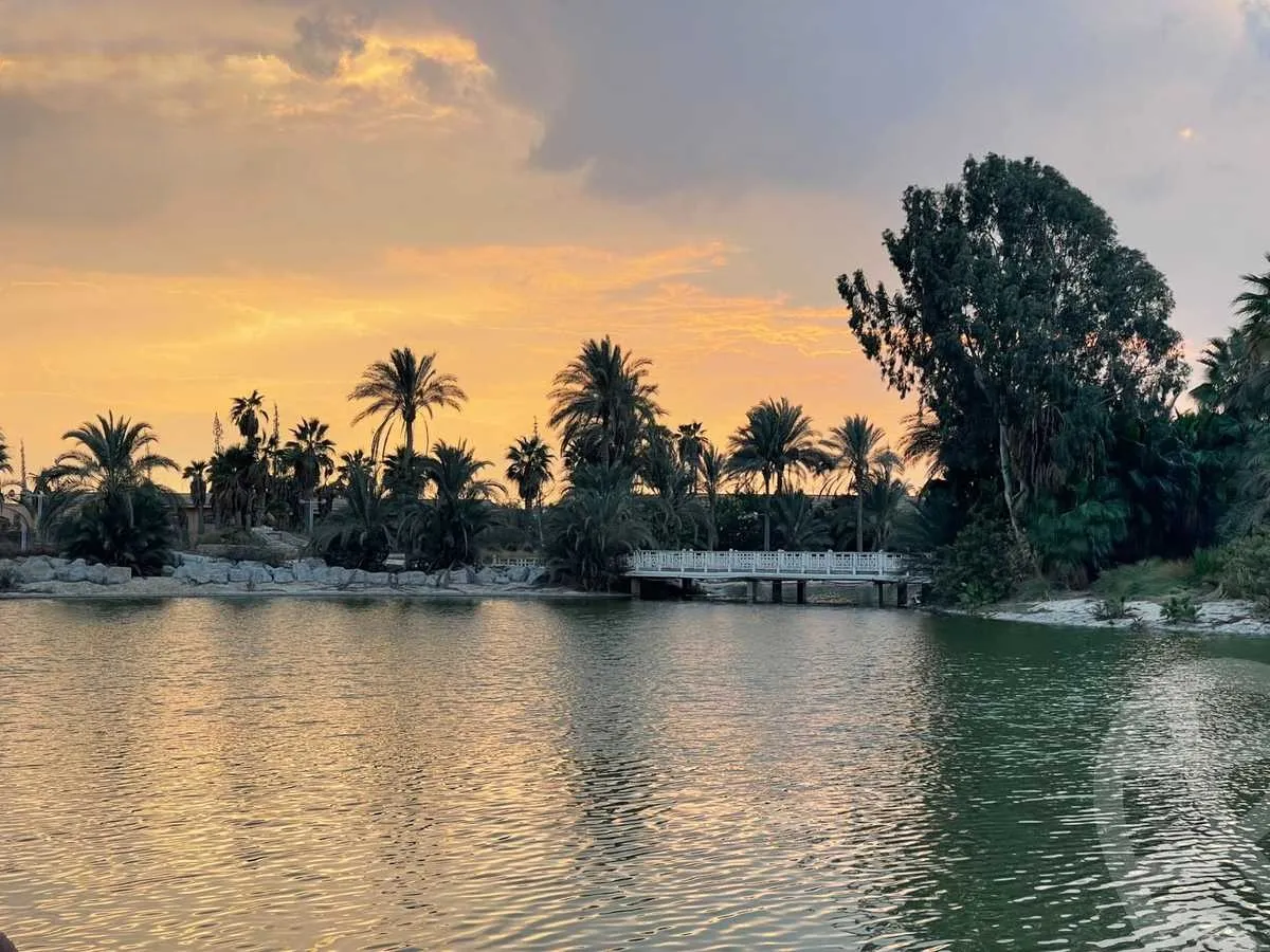 حدائق السليمانية الشيخ زايد شركة مصر للتنمية السياحية