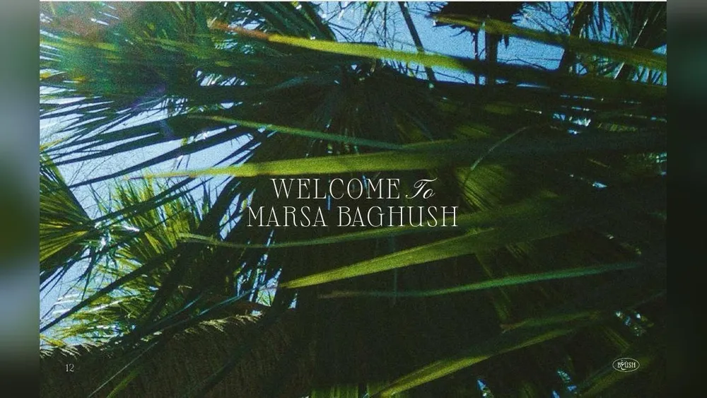 banner-image