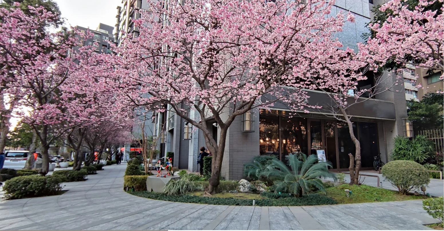 205 صفا ميديكال كومبليكس الشيخ زايد اركان بالم للتطوير العقاري