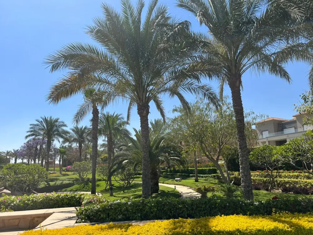 107793-شقة-للبيع-في-هاب-تاون-2-غرفة-في-مدينة-المستقبل-حسن-علام-للعقارات