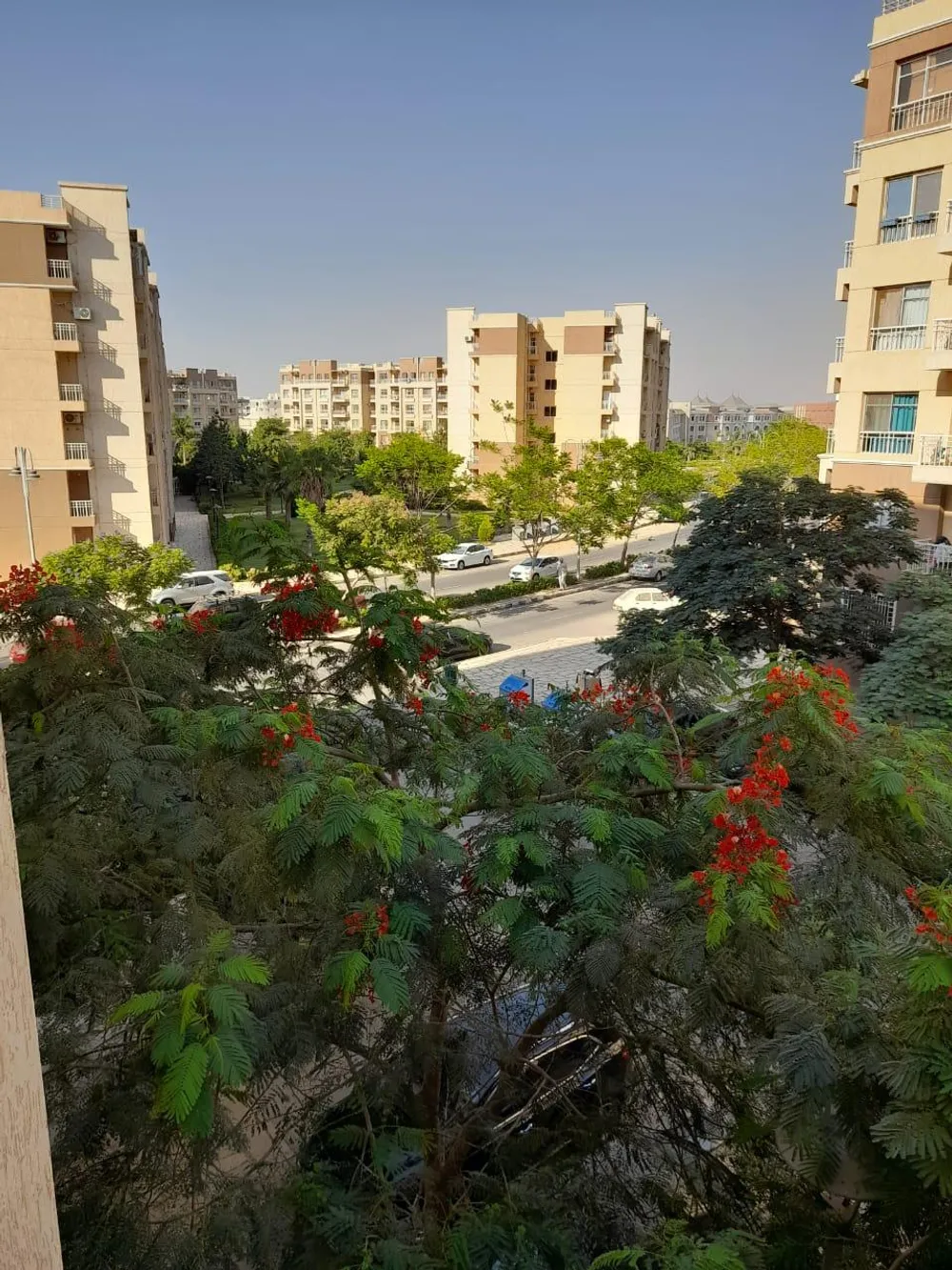 109448-شقة-للبيع-في-مدينتي-3-غرفة-في-مدينتي-مجموعة-طلعت-مصطفى-القابضة
