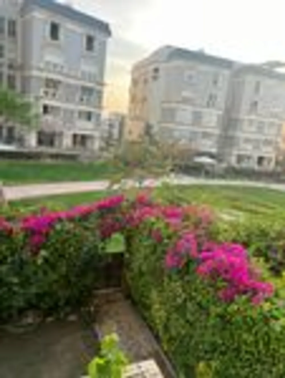 88724-duplex-for-sale-in-mountain-view-hyde-park