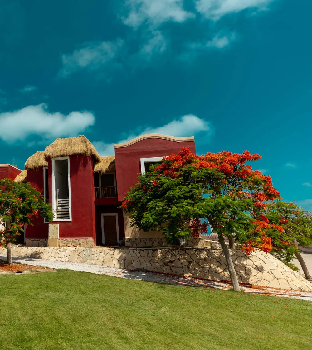 89034-chalet-garden-for-sale-in-bungalows-with-1-bedroom-in-north-coast-sahel-by-arabia-holding