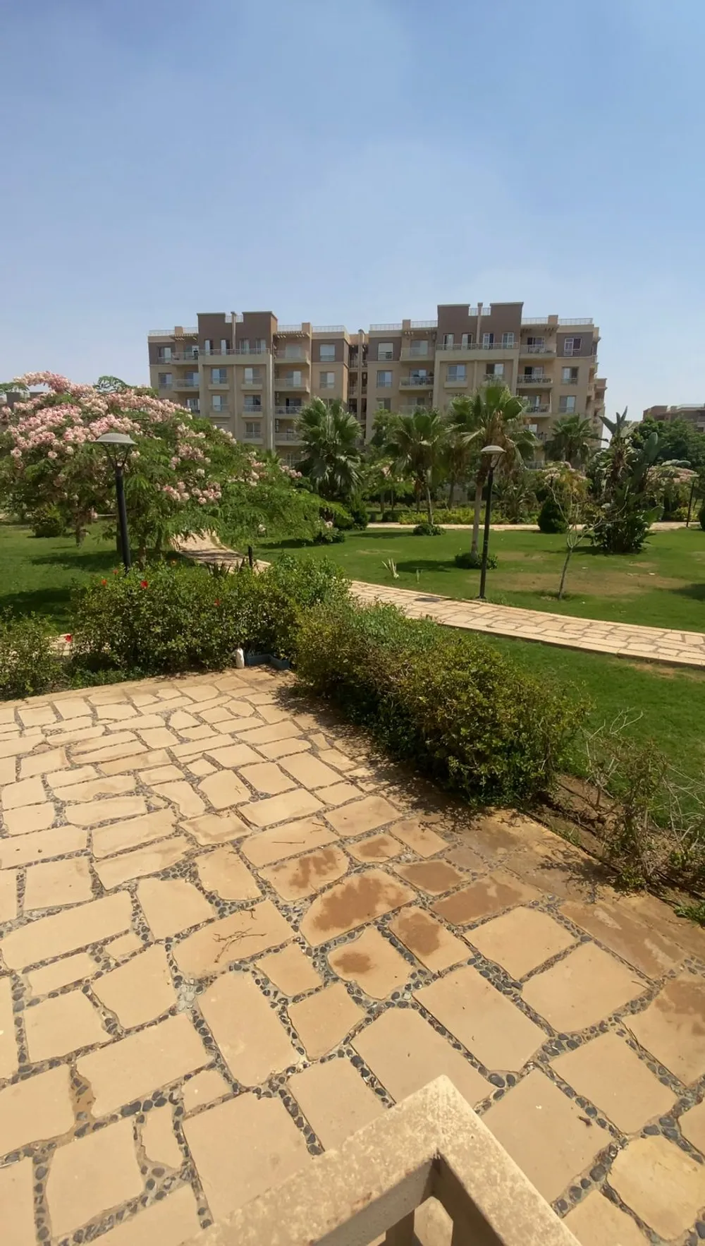 107087-شقة-للبيع-في-مدينتي