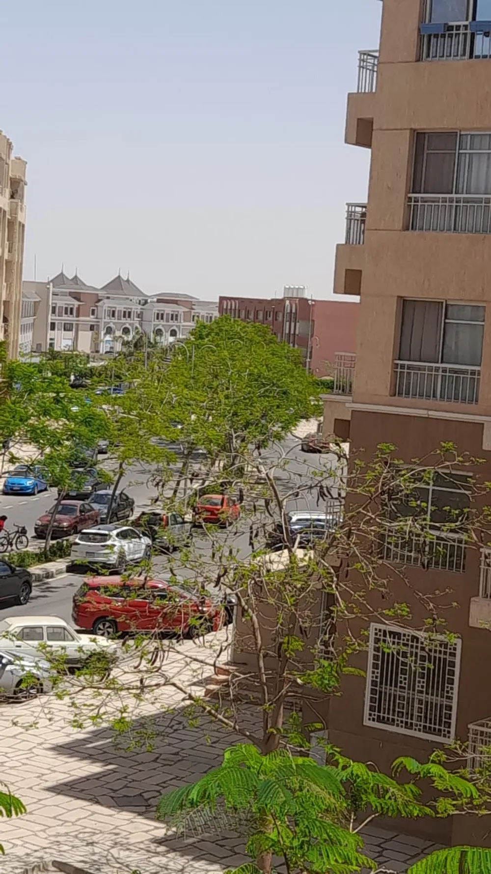 109448-شقة-للبيع-فى-مدينتى