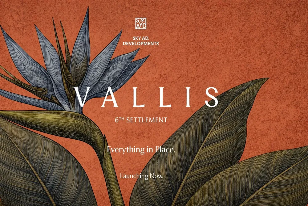 Vallis Marketing Visual