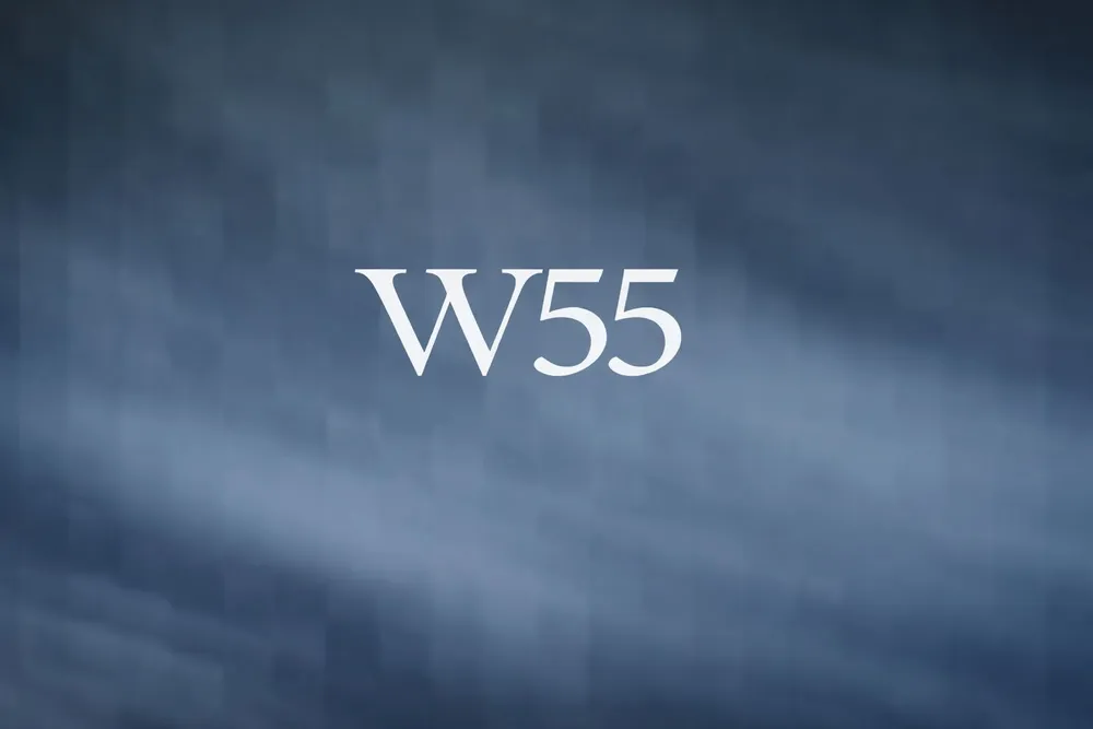 W55 Marketing Visual